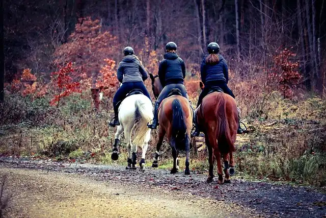 Equestrian Shooting: Barisone Acquitted, Blames USEF