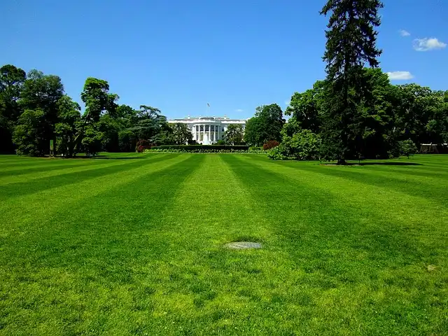 Eight Charged in White House Drone Plot: Domestic Terrorists Targeted Officials